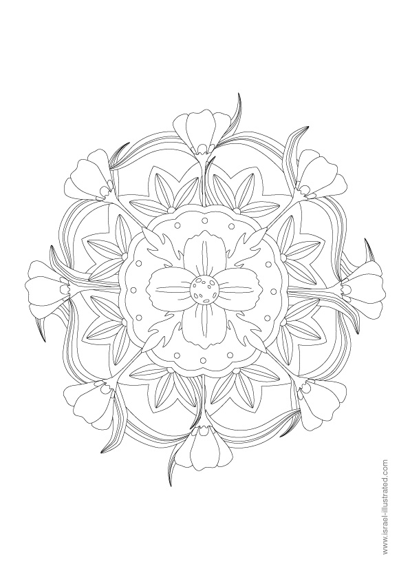 free mandala coloring pages  spring flowers