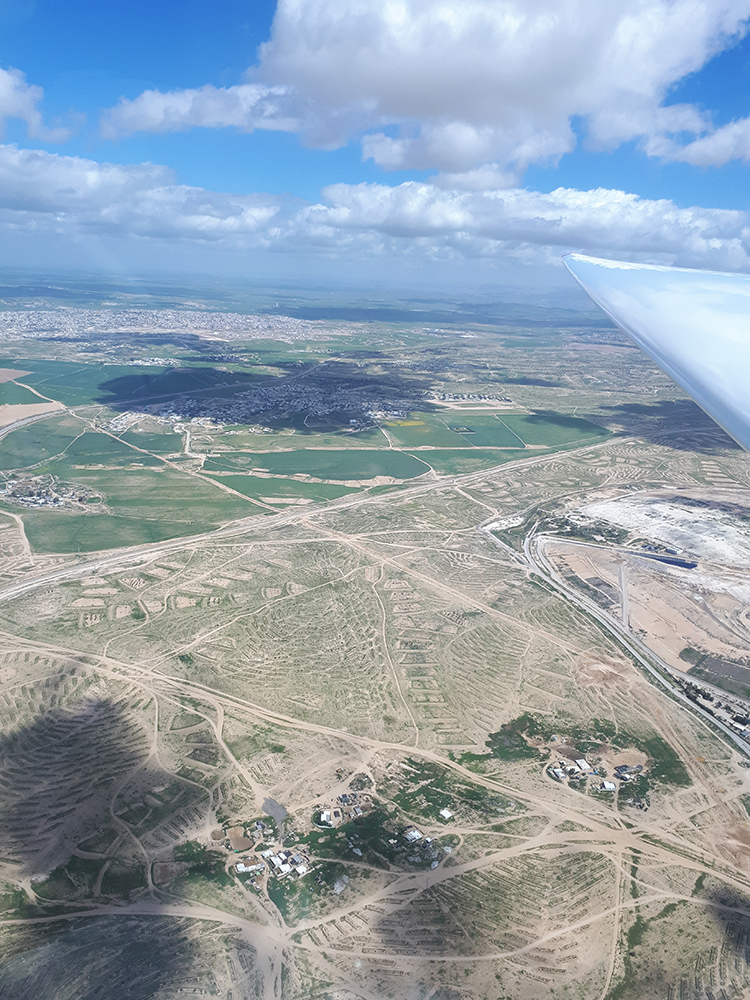 Dudaim Forest in March 2018 - everything is green! Dudaim Forest in March 2018 - everything is green!